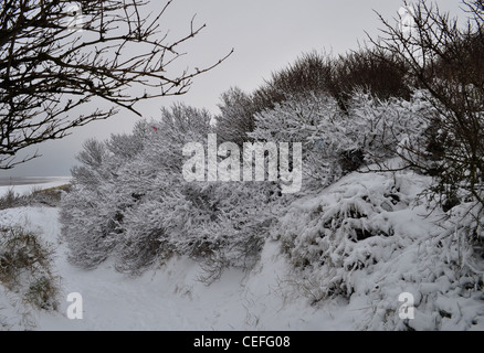 Außergewöhnlich langen, kalten Winter in England 2011-2012 mit West Norfolk Strände und Seen unter Eis und Schnee Stockfoto