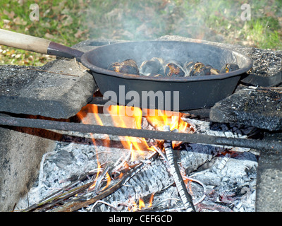 Kastanien auf ein Barbecue-Grill mit Flamme Stockfoto