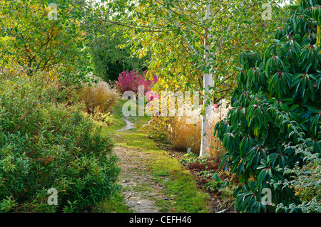 Wald-Garten in Marks Hall Essex UK Stockfoto