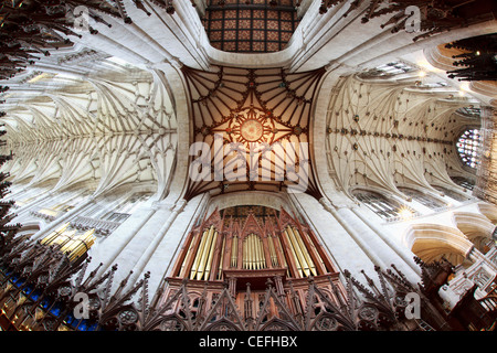 Fantastische Decke und Rohre im Inneren der Kathedrale von Winchester, Hampshire, England. Stockfoto