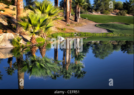 Teich im Desert Willow Golfresort, Palm Desert, Kalifornien Stockfoto