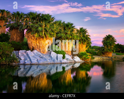 Teich und Palmen Tress bei Sonnenaufgang Desert Willow Golf Resort. Palm Desert, Kalifornien Stockfoto