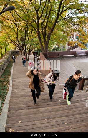 Menschen zu Fuß nach oben und unten die Schritte, die an die Spitze der Namsan Berg (oder Nam Berg) führen in Namsan Park, Seoul Stockfoto