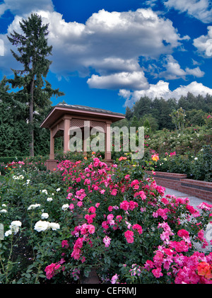 Pavillon in Portland Rose Test Garden. Orefgon Stockfoto