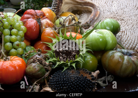 Ein Teller mit faulen Obst und Gemüse Stockfoto