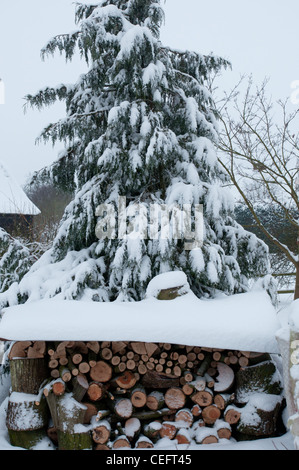 schneebedeckte Protokolle unter Kiefer Stockfoto