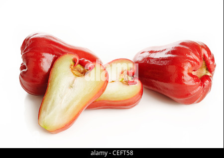 Rose-Äpfel oder Chomphu auf weißem Hintergrund Stockfoto