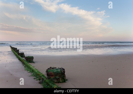 Der Strand von Frinton-on-sea Stockfoto