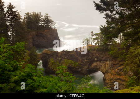 Naturale, Küste von Oregon, Samuel H Boardman State Park, Oregon, USA Stockfoto