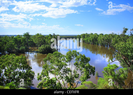 Murray Fluss schlängelt sich durch South Australia Stockfoto