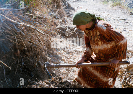 Junge Frau, die Arbeiten auf dem Lande Minya Ägypten Stockfoto