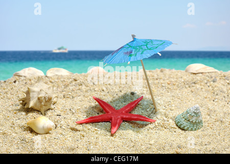 Sommer-Szene #7 - Seestern Schatten fangen Stockfoto