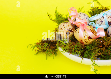 dekorierte Ostereier im grünen Nest auf gelbem Hintergrund Stockfoto