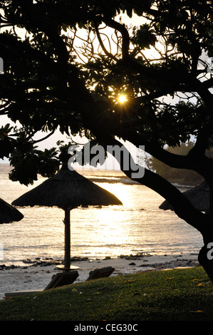 Silhouetten sub-tropischen Sonne beleuchtet exotische Lage am Meer Stockfoto