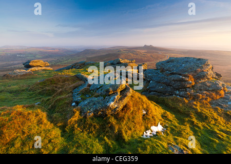 Blick vom Rippon Tor in Richtung Haytor Rocks, Dartmoor National Park, Ilsington, Devon, England, UK, Europa Stockfoto