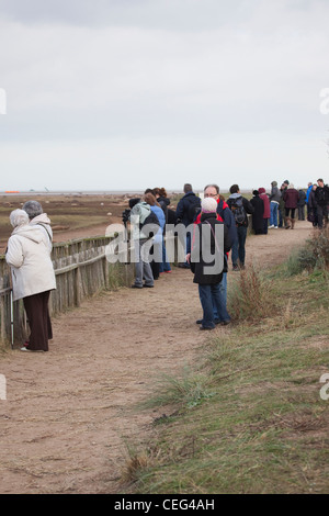 Donna Nook Besucher Stockfoto