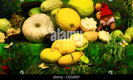 Haufen von Gemüse. Nahaufnahme, Vorderansicht. Stockfoto