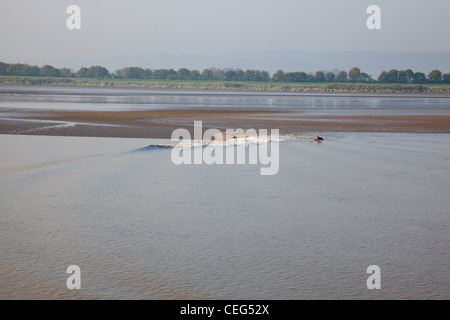 Die Severn Bore auf den Fluss Severn in der Nähe von Westbury auf Severn, Gloucestershire, England Stockfoto