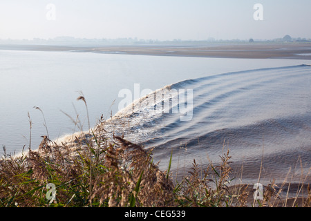 Die Severn Bore fließt vorbei an den Fluss Severn in der Nähe von Westbury auf Severn, Gloucestershire, England Stockfoto