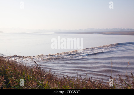 Die Severn Bore fließt vorbei an den Fluss Severn in der Nähe von Westbury auf Severn, Gloucestershire, England Stockfoto