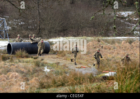 Mitglieder von The Prince Of Wales' Company, 1. Bataillon Welsh Guards, gehen über die Hindernisbahn Februar 2012 bei Sennybridg Stockfoto