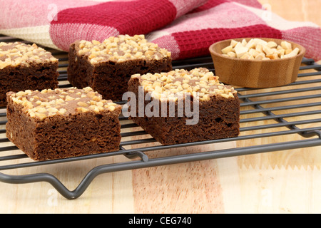 frische herrlich feucht Brownies mit einem tief fudgy Schokoladenaroma Stockfoto