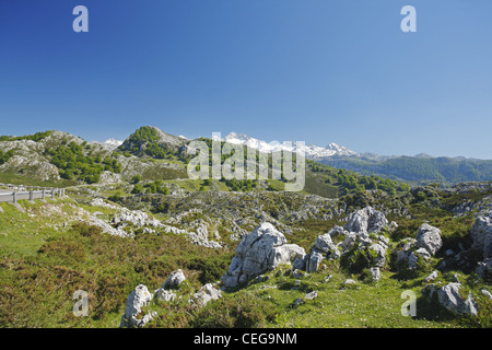 Die Picos de Europa, Spitzen von Europa, die Strecke der Berge im Norden Spaniens Stockfoto