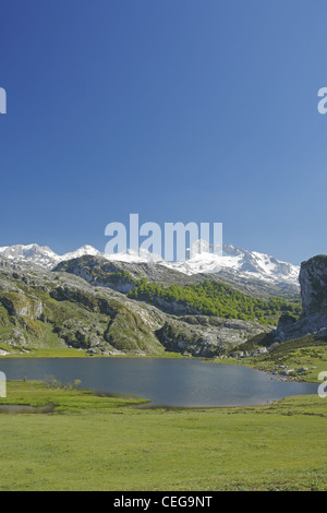 Gletschersee Lago Ercina, Seen von Covadonga in den Picos de Europa, Asturien, Spanien Stockfoto