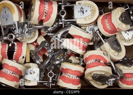 Eine Menge von Zahnersatz in Okklusion in einer box Stockfoto