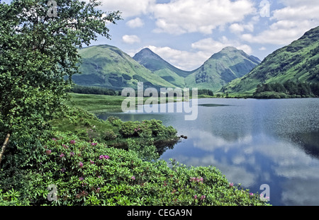 Frühsommer Blick auf Glen Coe Hügel von Glen Etive in Schottland mit Rhododendren blühen am Lochan Urr Stockfoto