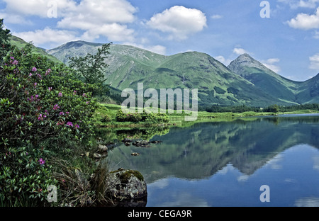 Frühsommer Blick auf Glen Coe Hügel von Glen Etive in Schottland mit Rhododendren blühen am Lochan Urr Stockfoto