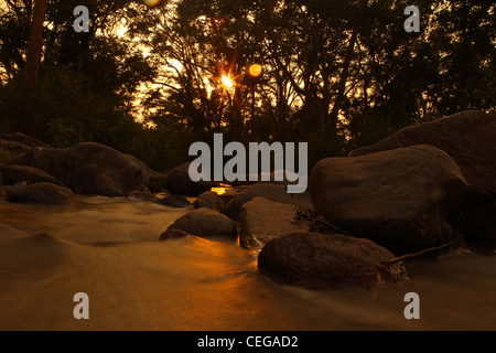 Sonnenuntergang in Kanha National Park, Madhya Pradesh, Indien Stockfoto