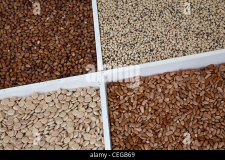 Linsen in Funchal Madeira Markt zu verkaufen. Stockfoto