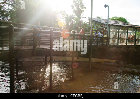 Busch Gardens Tampa Florida Tanganyika tidal wave Wasser-Floßfahrt Stockfoto