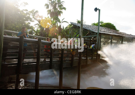 Busch Gardens Tampa Florida Tanganyika tidal wave Wasser-Floßfahrt Stockfoto