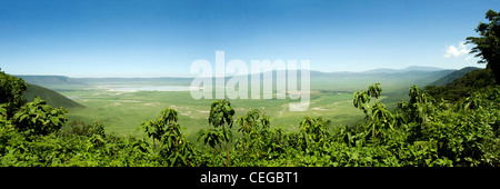 Ngorongoro Crater, Blick vom Kraterrand, Region Arusha, Tansania Stockfoto