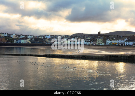 Mann zu Fuß einen Hund am Strand am Peel Isle Of Man in den frühen Morgenstunden Stockfoto