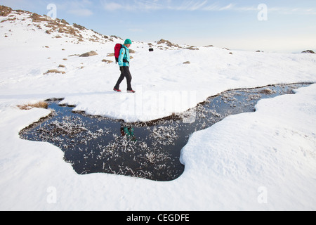 Frau Hill Wanderer von einem gefrorenen Moor in der Nähe von scheut Tarn in die saisonabhängige, Lake District, Großbritannien Stockfoto