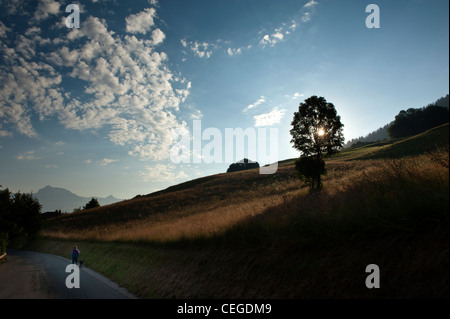 Spaziergang mit dem Hund in der Nähe von Megève Tal. Haute-Savoie-Abteilung. Die Region Rhône-Alpes. Frankreich Stockfoto