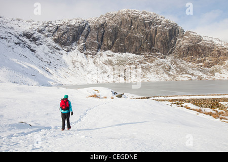 Frau Hill Wanderer durch eine gefrorene scheut Tarn in die saisonabhängige, Lake District, Großbritannien Stockfoto