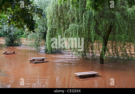Fluss Vézère in Flut Stockfoto