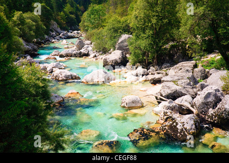 Smaragd farbig alpinen Fluss Soca / Isonzo, Slowenien Stockfoto