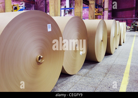 Ein Papierherstellungswerk mit großen Industriemaschinen für die Verarbeitung und das Walzen von Papier Stockfoto