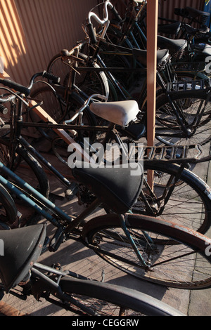 Alte klassische Fahrräder in einem alten altmodischen Fahrradschuppen. Stockfoto