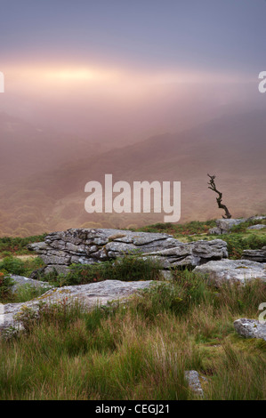 Nebligen Morgendämmerung Licht am Combestone Tor, Dartmoor, Devon, August 2011. Stockfoto