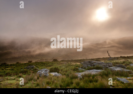 Sonne und Nebel am Combestone Tor, Dartmoor, Devon, August 2011. Stockfoto