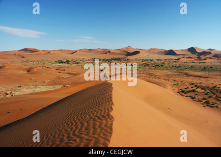 Düne 'Big Daddy' der Namib Wüste Stockfoto