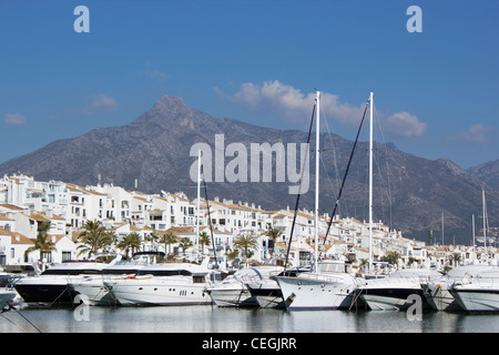 Luxus-Yachten vertäut am El Puerto José Banús, Marbella, Costa Del Sol, Andalusien, Spanien Stockfoto