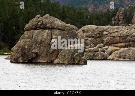 American Black Hills National Forest Custer Sylvan Lake State Park in den USA USA von vorne niemand waagerecht hochauflösend Stockfoto