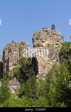 Black Hills Spearfish Canyon Custer State Park in South Dakota USA wunderschöne Bergwelt Felssäulen Niemand fotografiert vertikale Hochauflösung Stockfoto